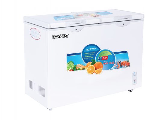 TỦ ĐÔNG HÒA PHÁT 205L HCF-505S2PN2
