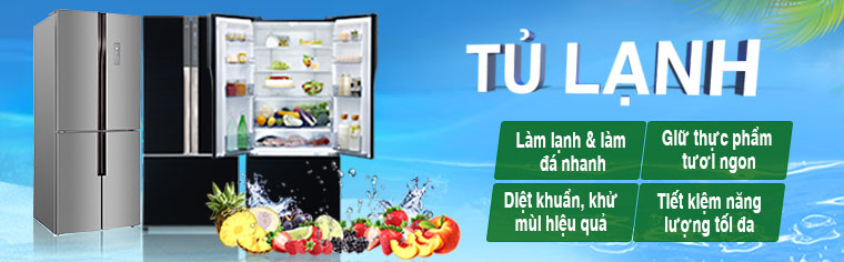 Tủ lạnh giá gốc